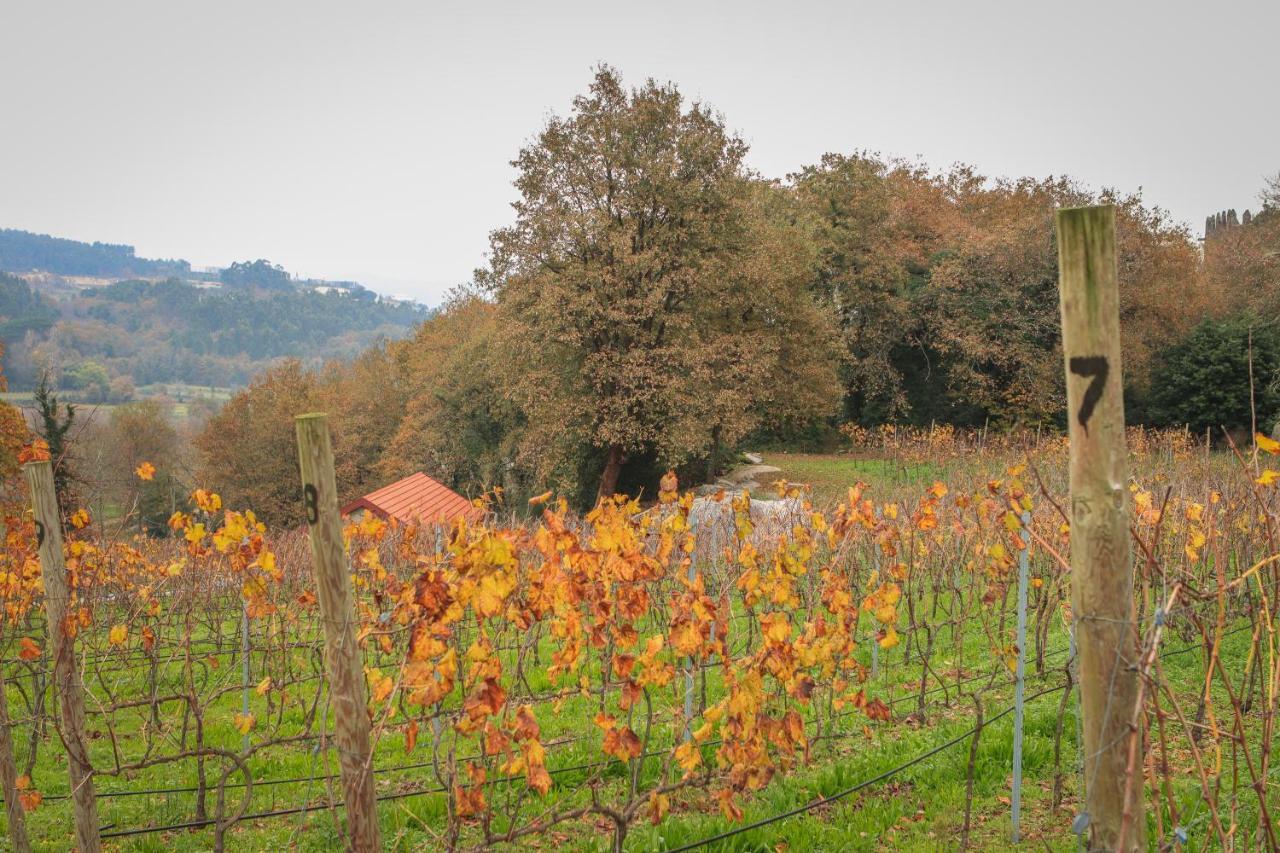 Quinta Pousada De Fora Wines & Tourism Гимарайнш Экстерьер фото
