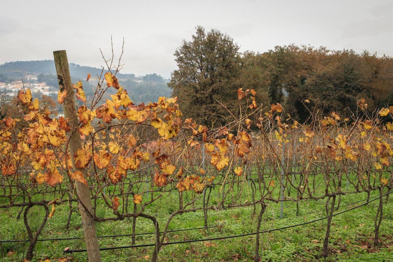 Quinta Pousada De Fora Wines & Tourism Гимарайнш Экстерьер фото
