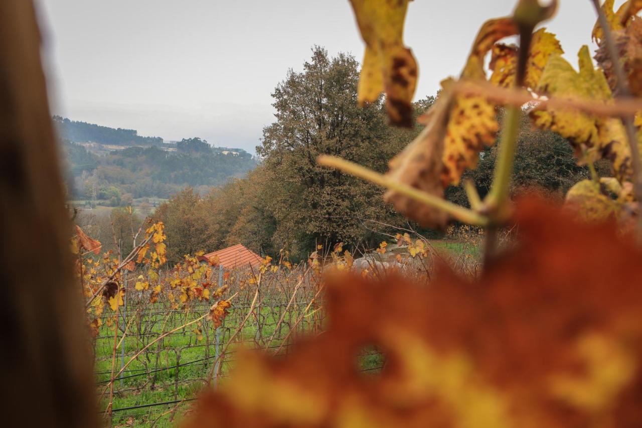 Quinta Pousada De Fora Wines & Tourism Гимарайнш Экстерьер фото