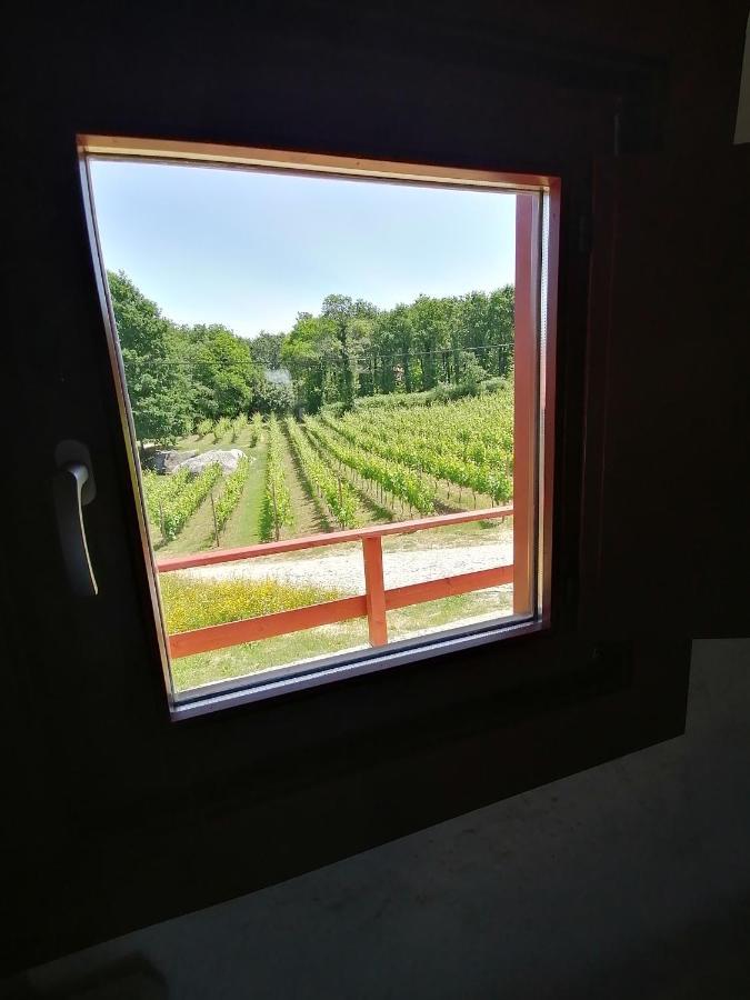 Quinta Pousada De Fora Wines & Tourism Гимарайнш Экстерьер фото