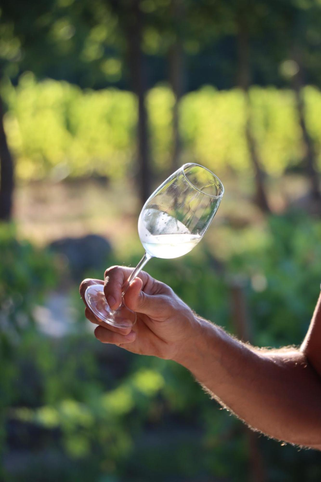 Quinta Pousada De Fora Wines & Tourism Гимарайнш Экстерьер фото